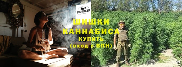 ECSTASY Липки