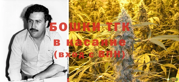 ECSTASY Липки
